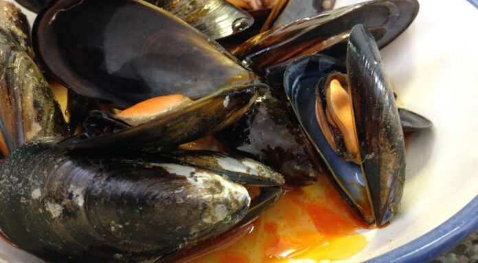 White Wine Mussels