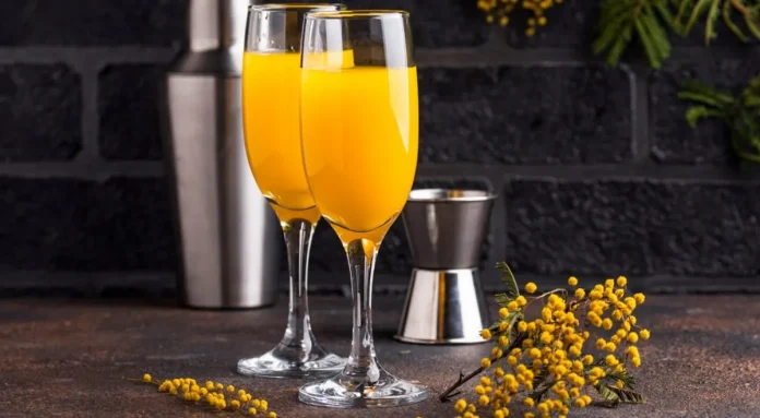 Mimosa Cocktail